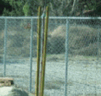 TREE STAKES