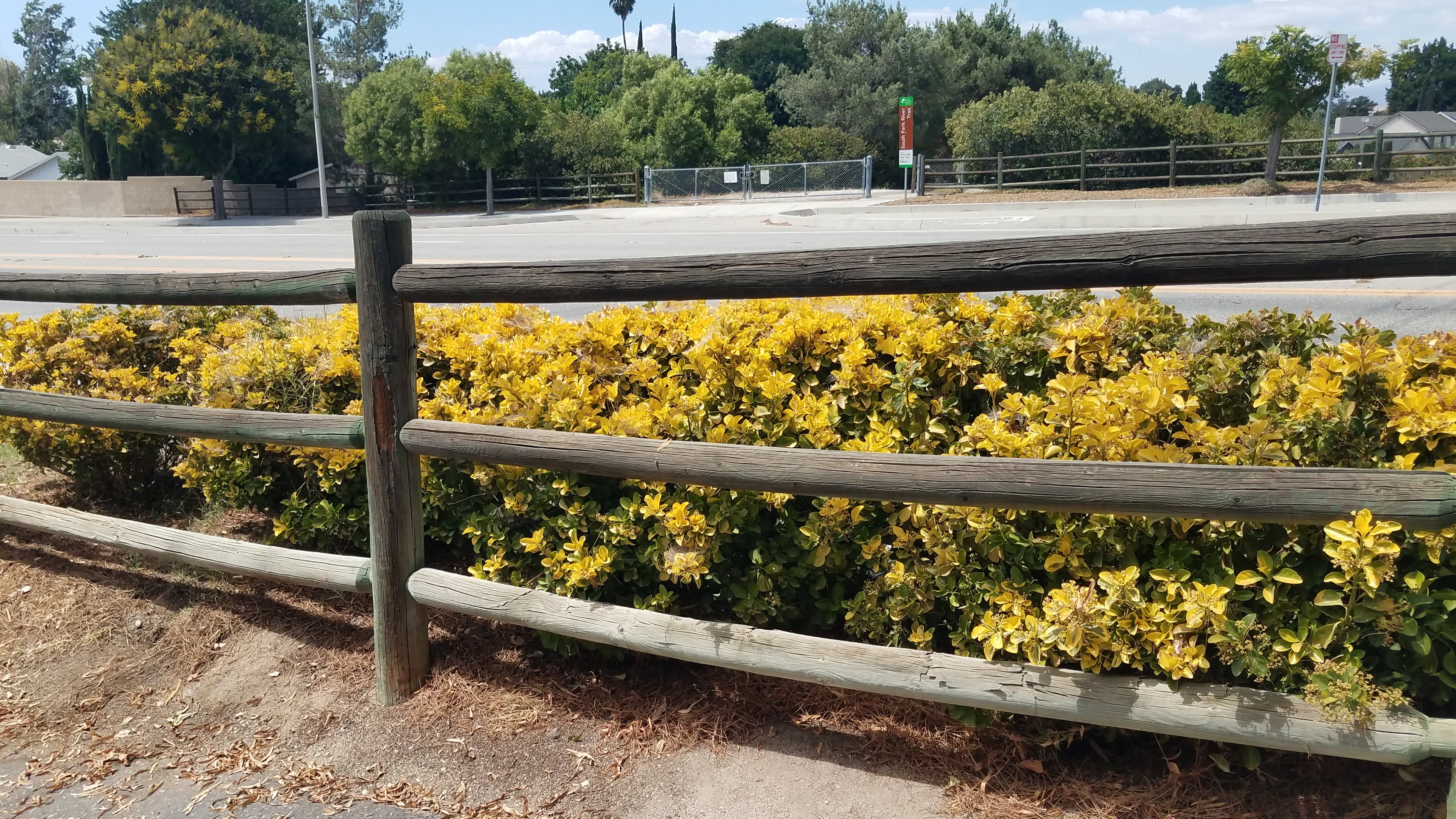 DECO / ROUND RAIL FENCING